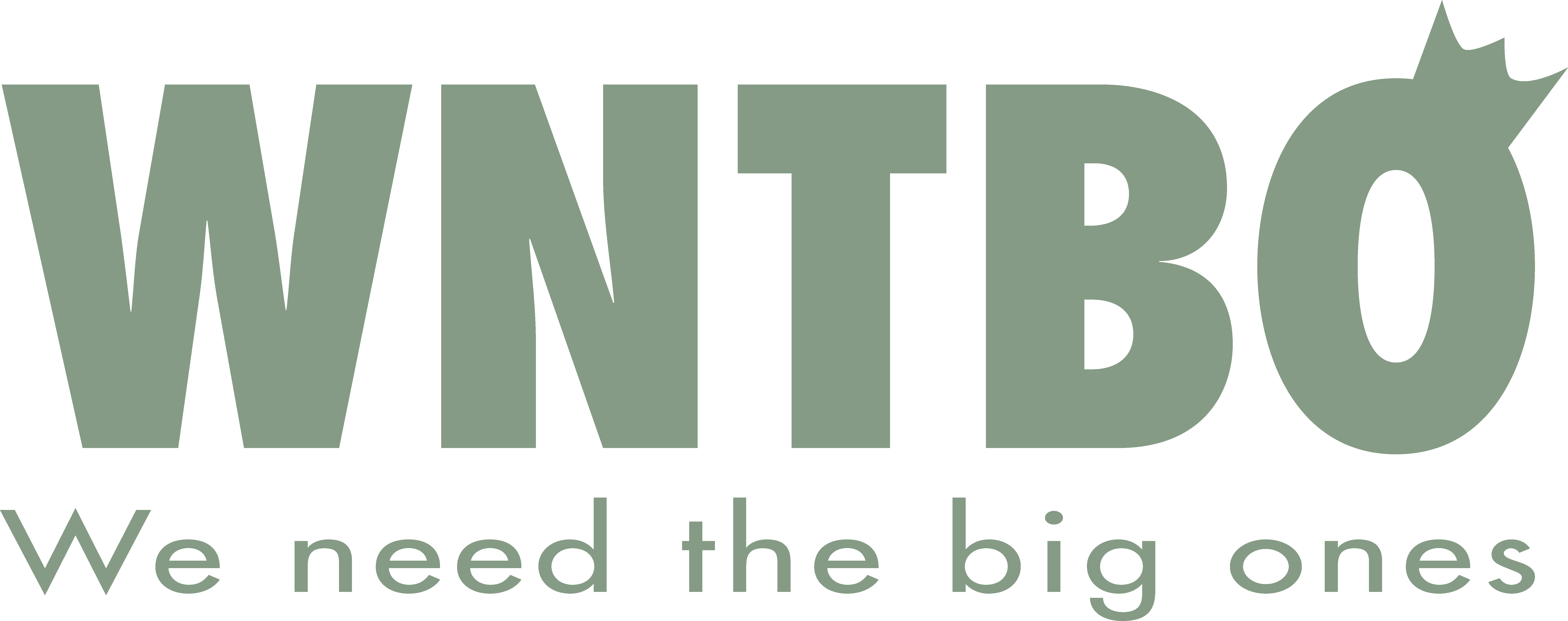 WNTBO Logo